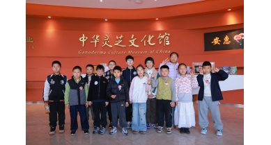 专题报道